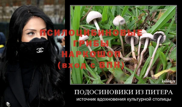 спиды Аркадак