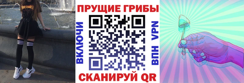 Купить где  Вытегра  Псилоцибиновые грибы прущие грибы 